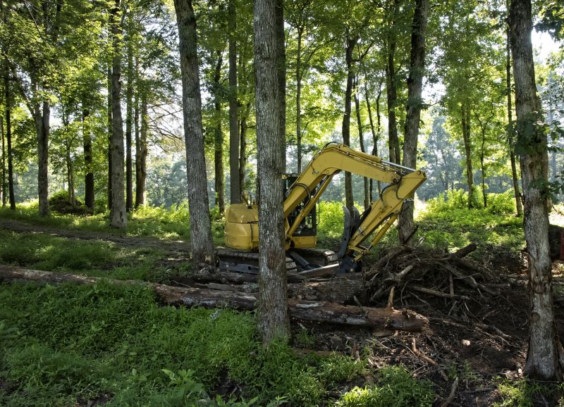 Increase Your Land Clearing Business with an AI Driven, Targeted Website