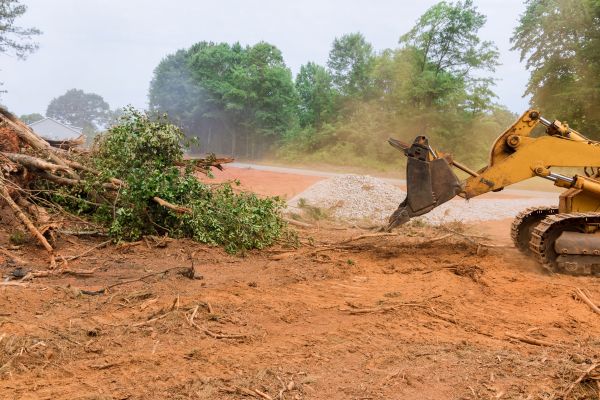 Ground Clearing in Petaluma
