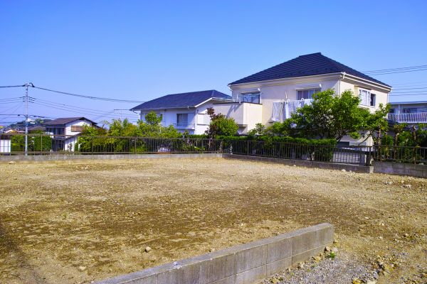Cost of Lot Clearing Service in Petaluma