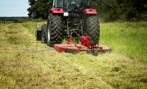 Brush Clearing Service in Petaluma