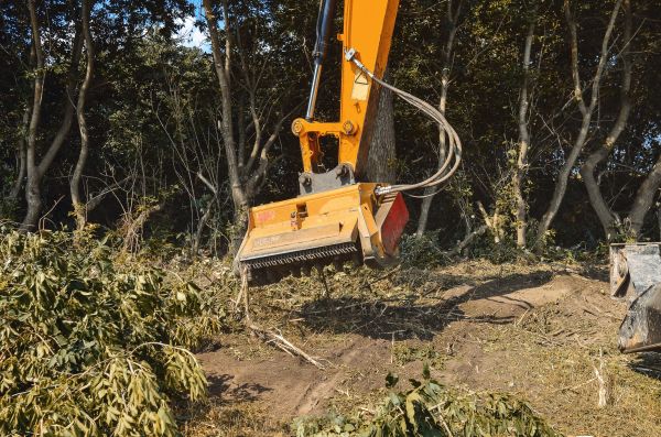 Brush Removal Service in Petaluma