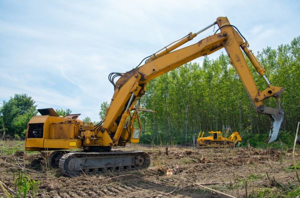 Cost of Farm Clearing in Petaluma