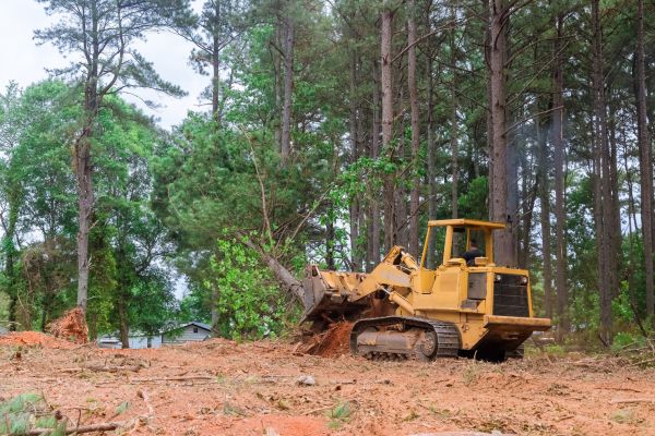 Cost of Property Clearing in Petaluma