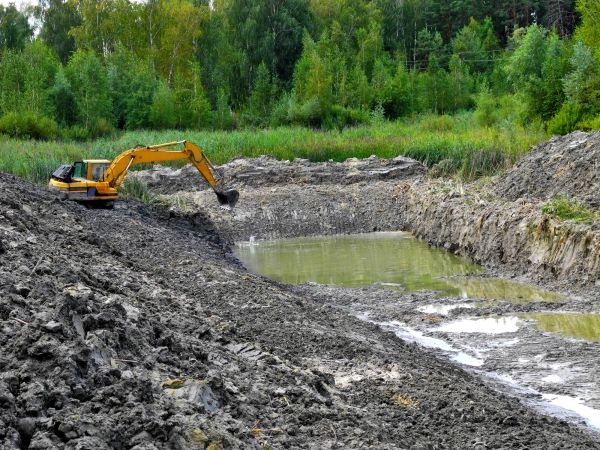 Cost of Lake Lot Clearing in Petaluma