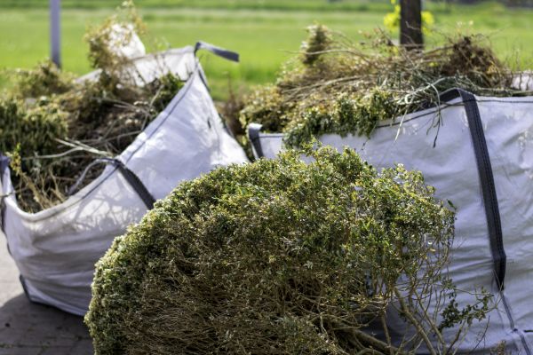 Cost of Bushes Clearing in Petaluma