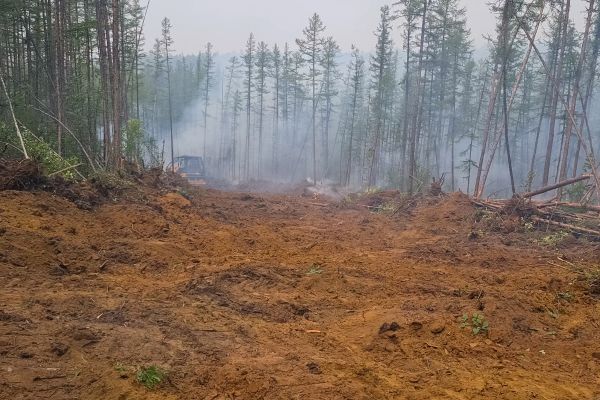 Cost of Hill Clearing in Petaluma