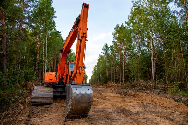 Cost of Backhoe Land Clearing in Petaluma