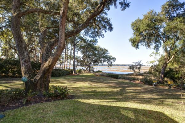 Cost of Lakefront Property Clearing in Petaluma