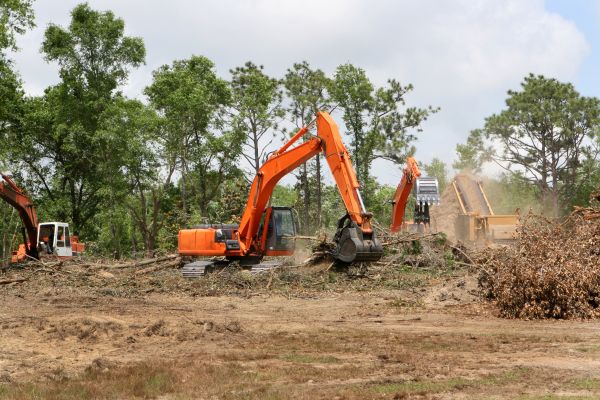 Cost of Commercial Lot Clearing in Petaluma
