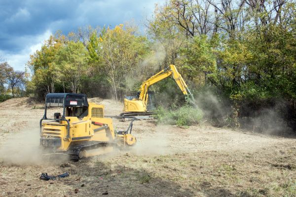 Cost of Terrain Clearing in Petaluma