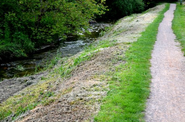Cost of Trail Cutting in Petaluma