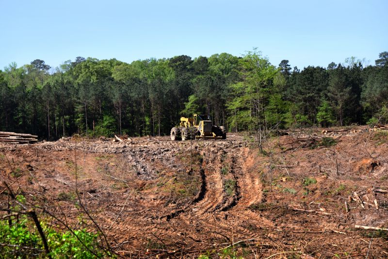 Land Clearing Contractors